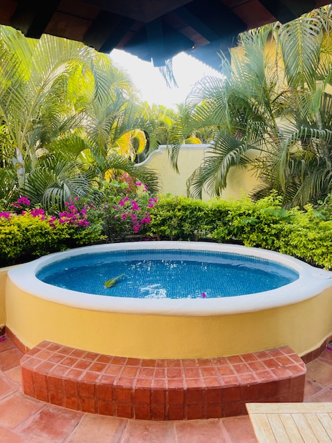 Plunge Pool in Suite 515. Photo Jill Weinlein