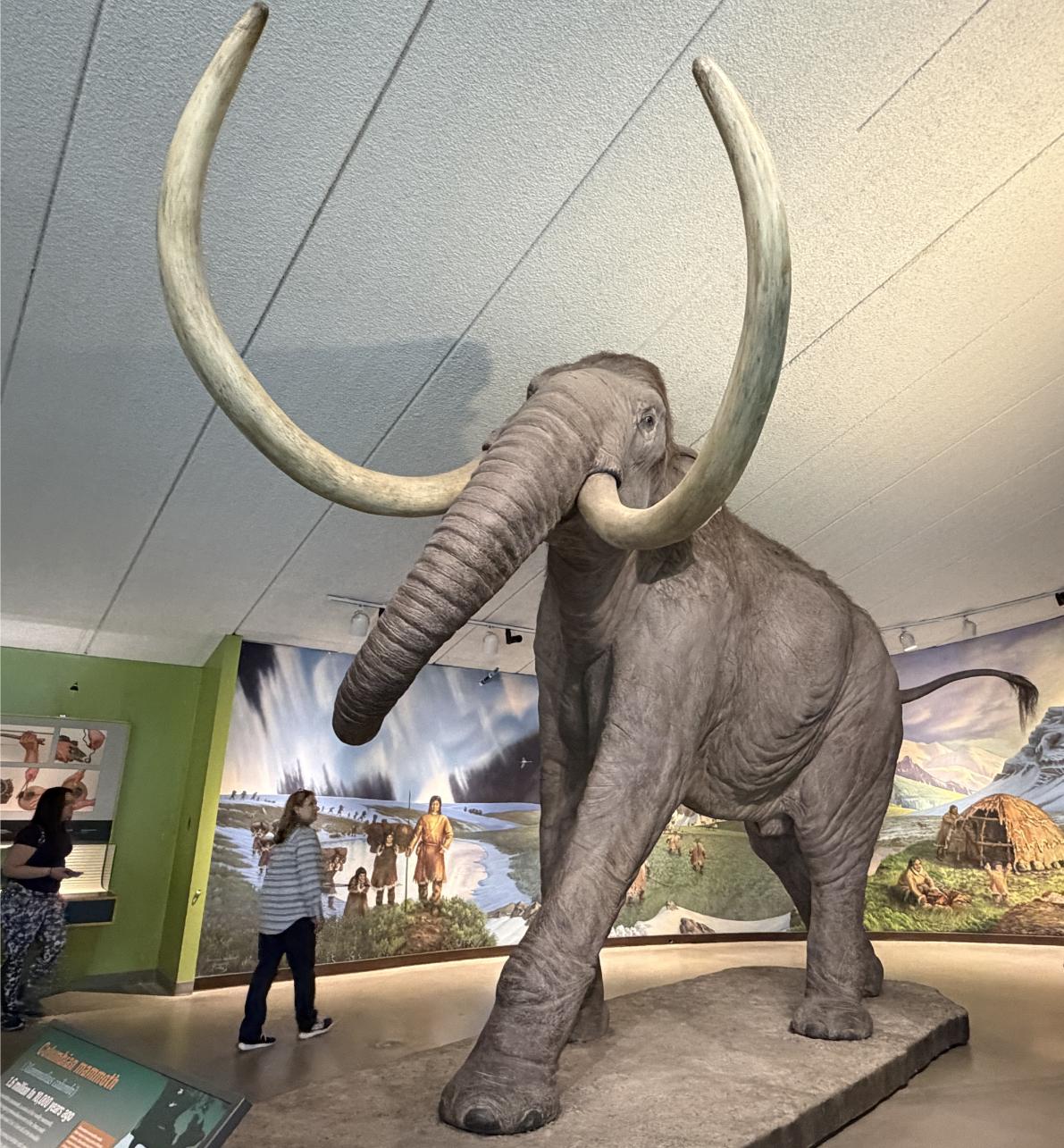 La Brea Tar Pits: Discover Ice Age History - Luxe Beat Magazine