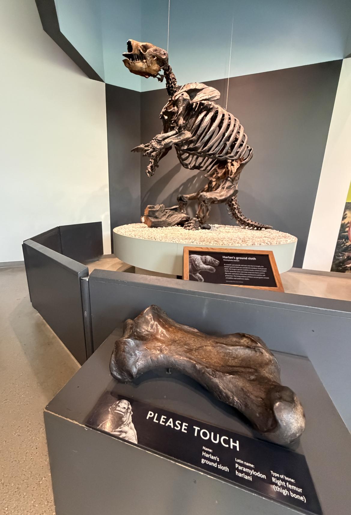 La Brea Tar Pits: Discover Ice Age History - Luxe Beat Magazine
