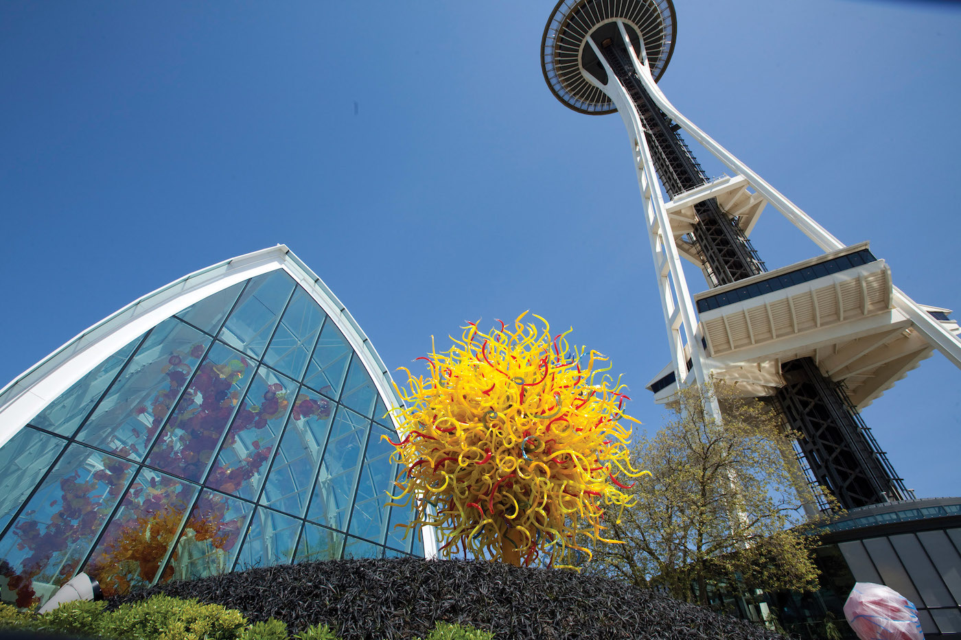 Refract: Seattle's Celebration of Glass And It's Artists